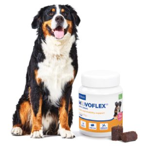Movoflex® Soft Chews L (+35kg) 30 Chews
