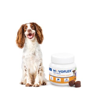 Movoflex® Soft Chews M (15kg-35kg) 30 Chews