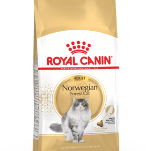 Royal Canin Norwegian Forest Cat Adult 10kg