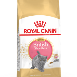 Royal Canin British Shorthair Kitten 2kg