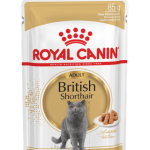 Royal Canin British Shorthair 85gr (pack12)