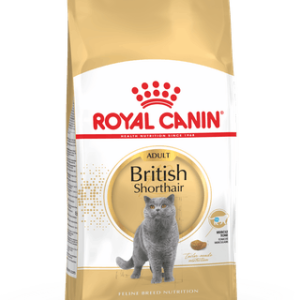 Royal Canin British Shorthair Adult 10kg