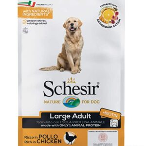 Schesir Nature Ração Cão Large Adulto Frango 12kg 