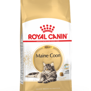 Royal Canin Maine Coon Adult 10kg
