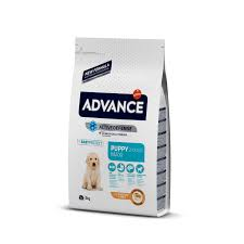 Produto teste import 2 nome